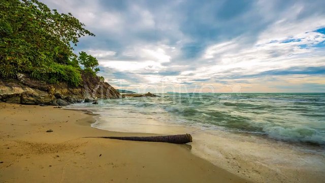 Old Tree On The Beach And Clouds Over The Sea in Samui, Thailand by Timelapse4K