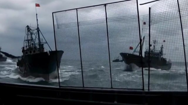 나포 어선 뺏으려고 충돌...도 넘은 中 불법 어선 / YTN