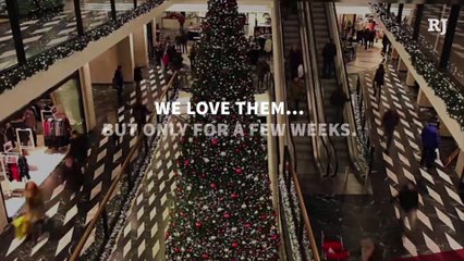 What to Do With Your Christmas Tree After the Holidays?