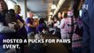 Abandoned Pomeranians  adopted through Golden Knights event