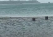 Storm Surge Floods Waiheke Island