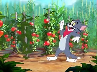 Tom And Jerry English Episodes - Summer Squashing  - Cartoon
