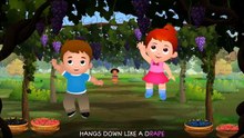 Grape Song _ Learn Fruits for Kids _ Original Educational Fruits Songs & Nursery