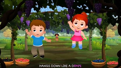 Grape Song _ Learn Fruits for Kids _ Original Educational Fruits Songs & Nursery Rhymes by Chu