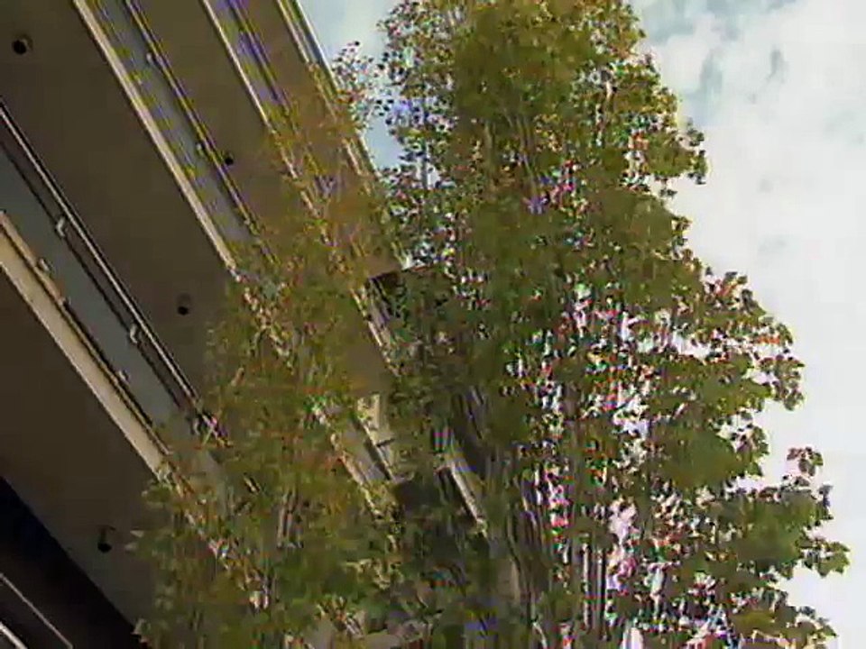 Αστυνόμος Θανάσης Παπαθανάσης Ε24   Καθένας με τον τρόπο του