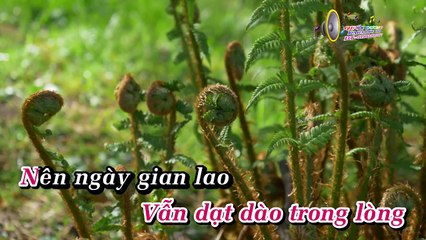 Căn Nhà Mộng Ước KARAOKE NHẠC SỐNG