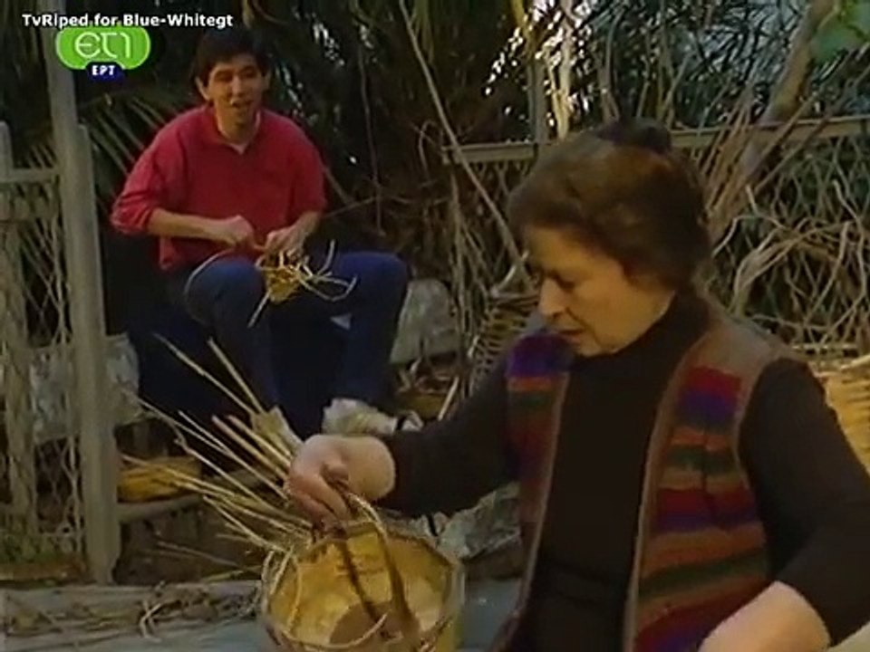 Zito Gnorimia E07 Agnosto