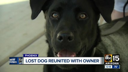 下载视频: Valley woman reunited dog who went missing for more than a month