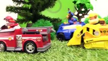 Paw Patrol Toys - Skye's TREE HOUSE  Construction Trucks Stories for Children