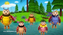 Rabbit and Bugs Finger Family Rhymes _ Animals Finger Family song _ Nursery Rhymes & Songs-wYT_S