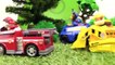 Paw Patrol Toys - Skye's TREE HOUSE  Construction Trucks Stories for Children.Toys V