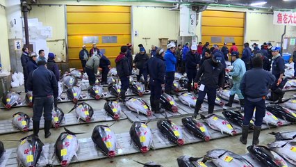 Japan's historic Tsukiji market holds final New Year's auction