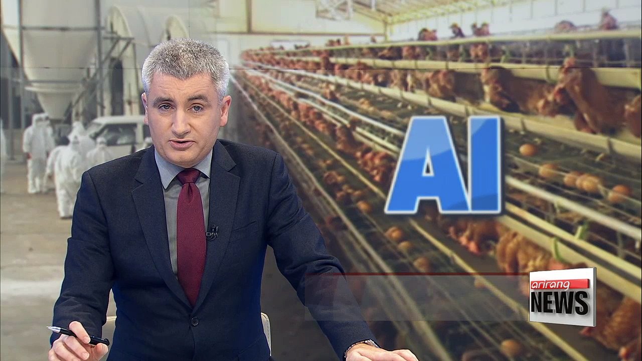 Bird flu triggers alarm ahead of PyeongChang Olympics