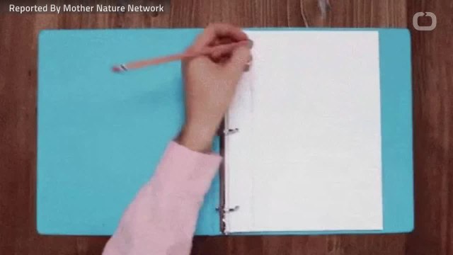 Want To Know Some Fun Facts About Left-Handed People