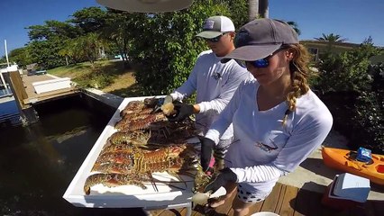 How To Eat, Clean and Cook a Lobster - D Vein Company