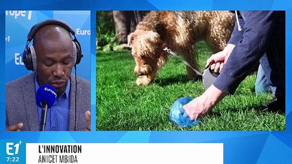 Recyclage : des réverbères qui fonctionnent à la crotte de chien