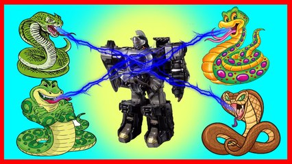 Superman and the Joker play with the mischievous snakes one piece  pirate king pirate Island