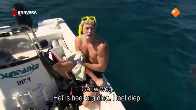 Un journaliste d'une émission sur les requins se faire mordre dans l'eau