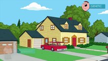 Family Guy - Für was stehen die Blumen im Gemälde?
