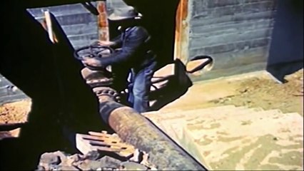 No Place for Salmon : Documentary on the Migration of Salmon and Conservation