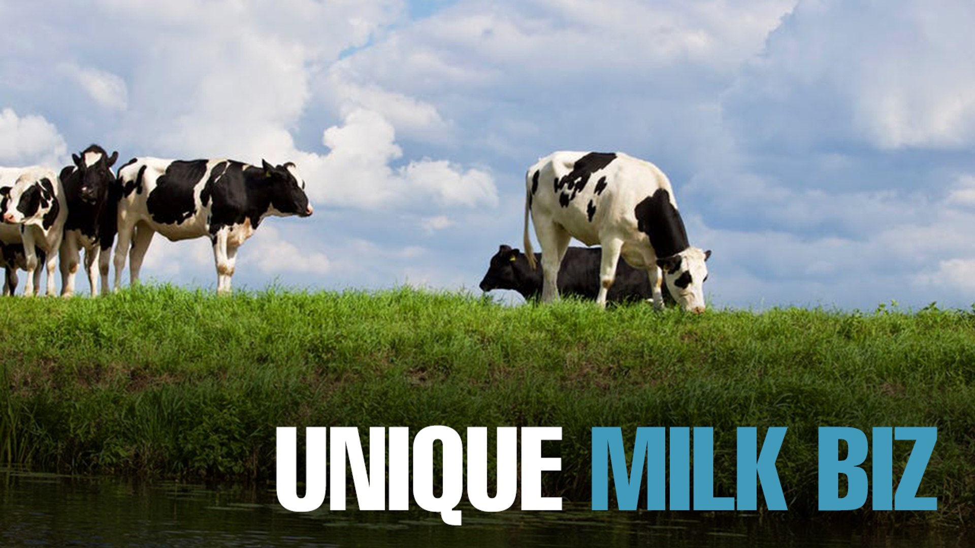 NEWS: Farm Fresh’s unique milk business