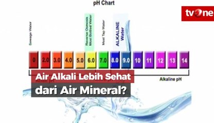 Benarkah Air Alkali Lebih Sehat dari Air Mineral?