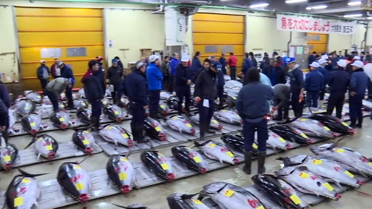 Japon: premières enchères de l’année au marché de Tsukiji