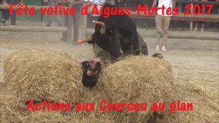 Aigues-Mortes 2017-Actions-Courses au plan