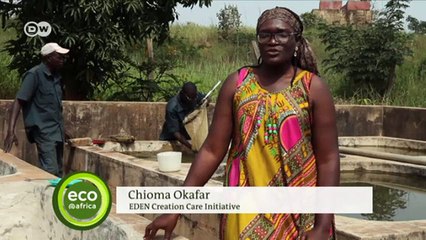 Rennajj Fish Farm: A haven for Nigerian wetland wildlife | DW English