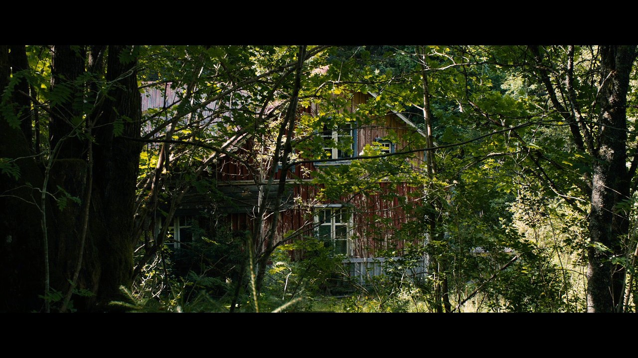 Into the Forest / Dans la forêt (2017) - Trailer