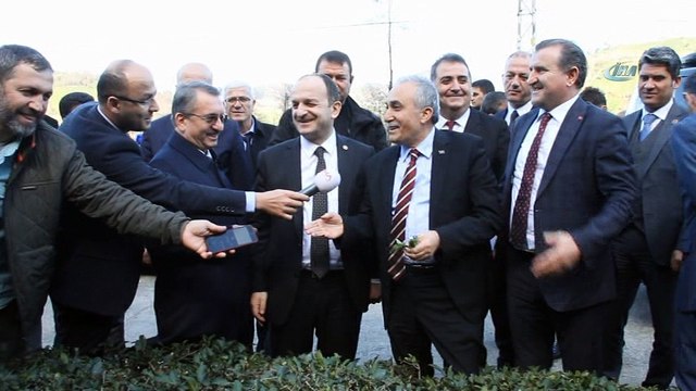 Gıda, Tarım ve Hayvancılık Bakanı Fakıbaba çay bitkisini inceledi