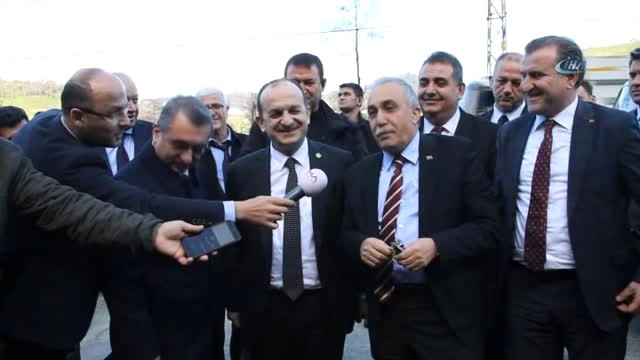 Gıda, Tarım ve Hayvancılık Bakanı Fakıbaba Çay Bitkisini İnceledi