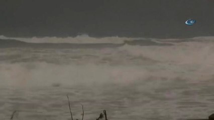 Filistin'de Şiddetli Yağış ve Fırtına Ağaçları Devirdi