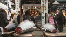 Tokyo fish auction Bluefin tuna sold for $323,195
