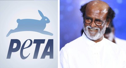 ரஜினி ரசிகர்கள் கிடா வெட்ட தடை கோரும் பீட்டா ?- வீடியோ