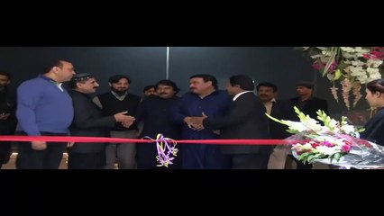 Every One Shocked On What Sheikh Rasheed Did