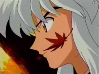 Inuyasha Amv