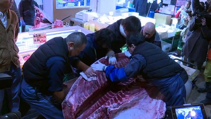 Atum é leiloado no Japão por 320 mil dólares