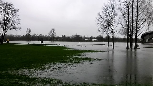 Le Rhin en crue à Kehl