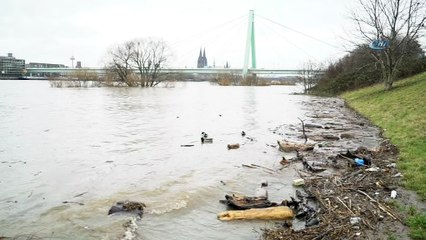 Almanya’nın Güneybatısında Su Baskını Tehlikesi