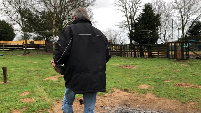 Les Crins verts recueillent des animaux