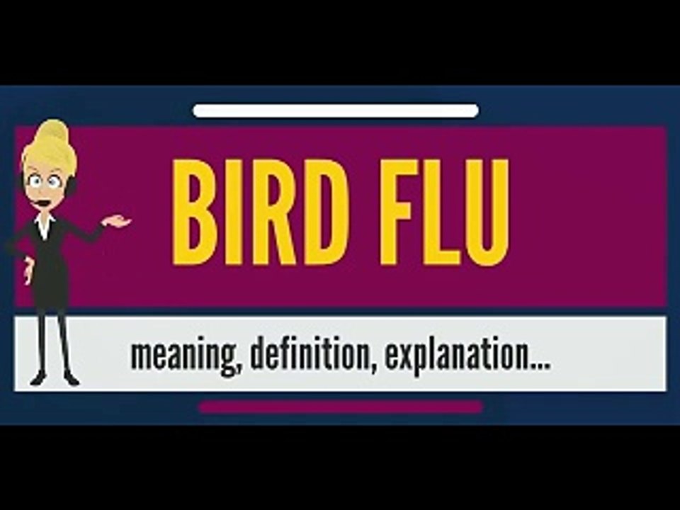 Avian Bird flu Meaning & Explanation