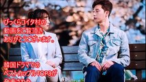 【韓国ドラマ】ベストカップル2017！視聴者が選んだドラマの中で相性がいいカップルTOP3