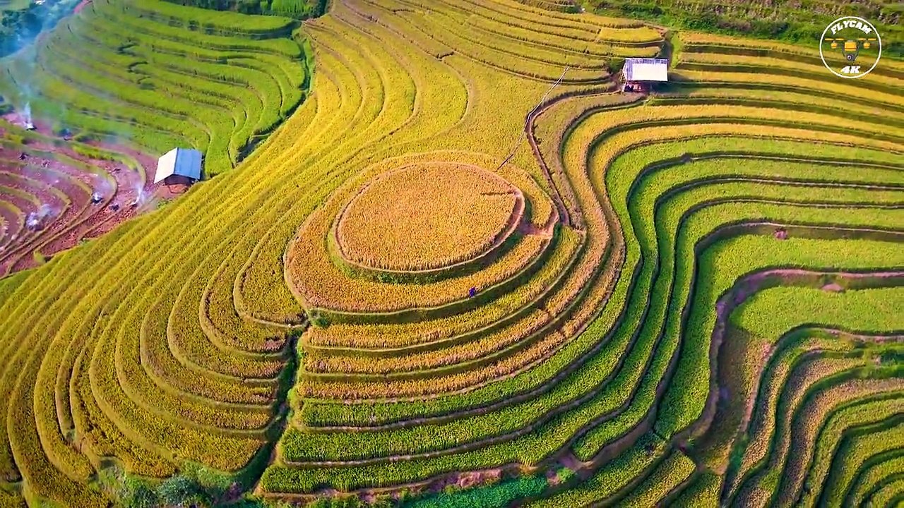 Kiều Tú - Mù Cang Chảy thiên đường ruộng bậc thang