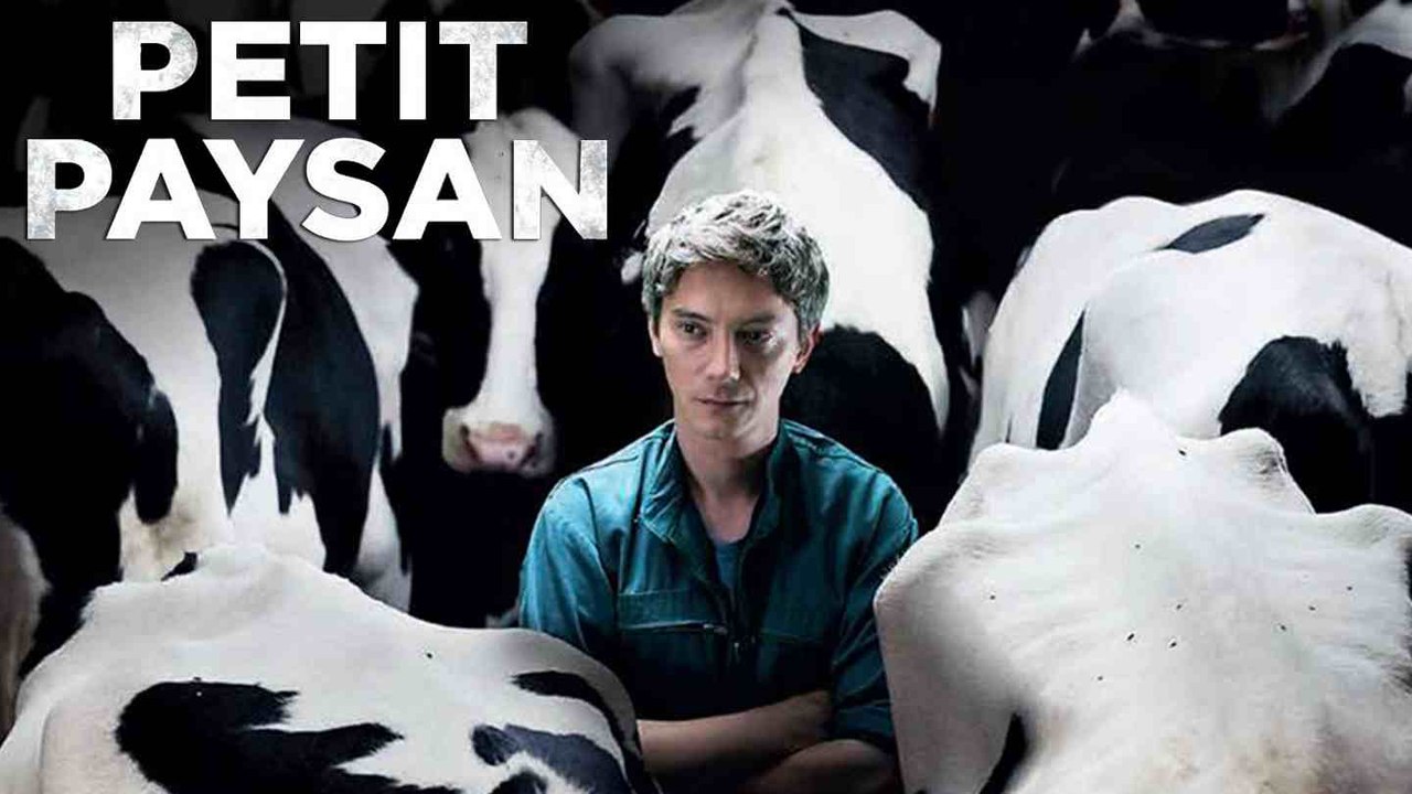 BA_PETIT PAYSAN