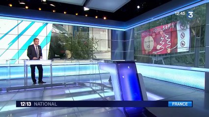 Sapins : des collectes organisées pour lutter contre les dépôts sauvages