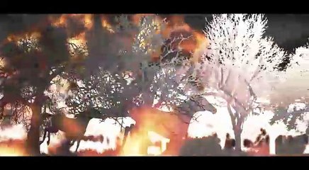 [640x352] En La Araucanía lanzan nueva campaña Bosque seguro los incendios nos dañan a todos