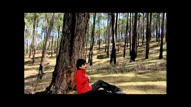 punjabi sad love shayari broken heat poetry very emotional poem vice waqas pannu