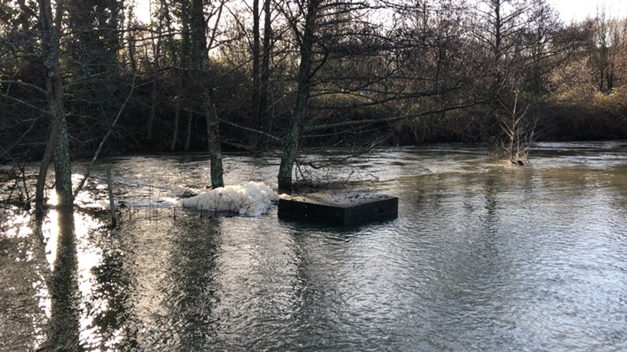 Les prairies inondées ? « C’est normal ! »