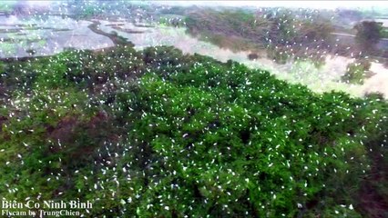 Flycam Biển Cò Ninh Bình